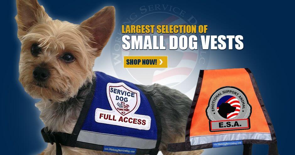 Small service dog vests