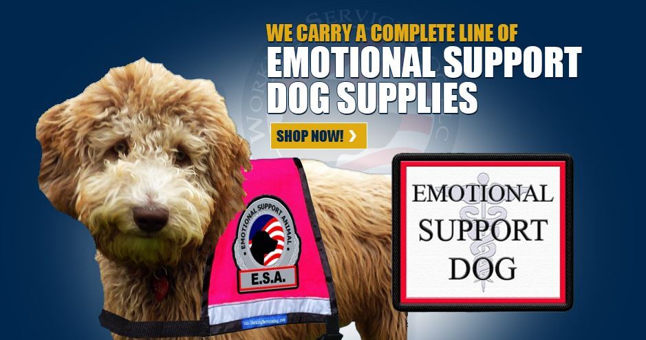 Emotional support animal kits