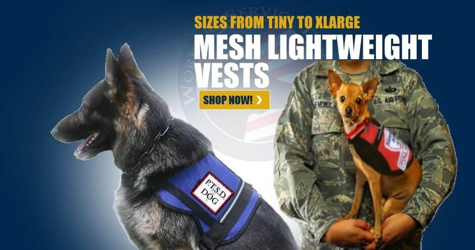 Mesh vests for hot weather